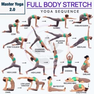 Curso de adiestramiento físico